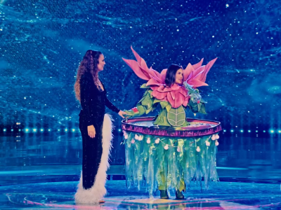 the masked singer flay