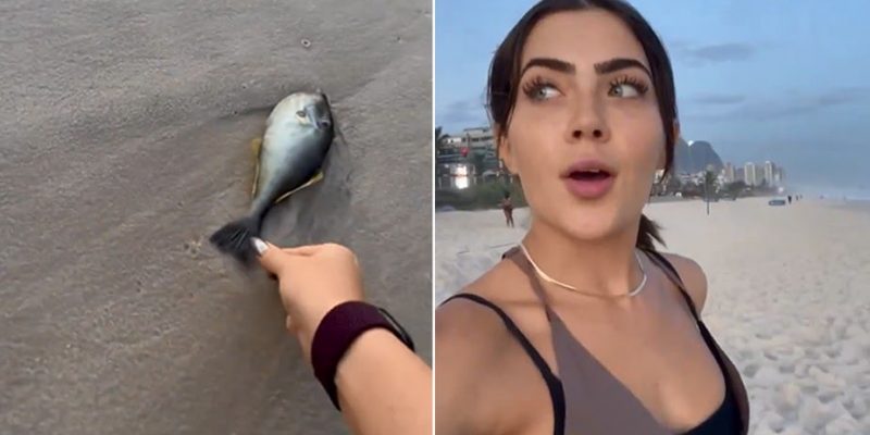 jade-picon-peixe